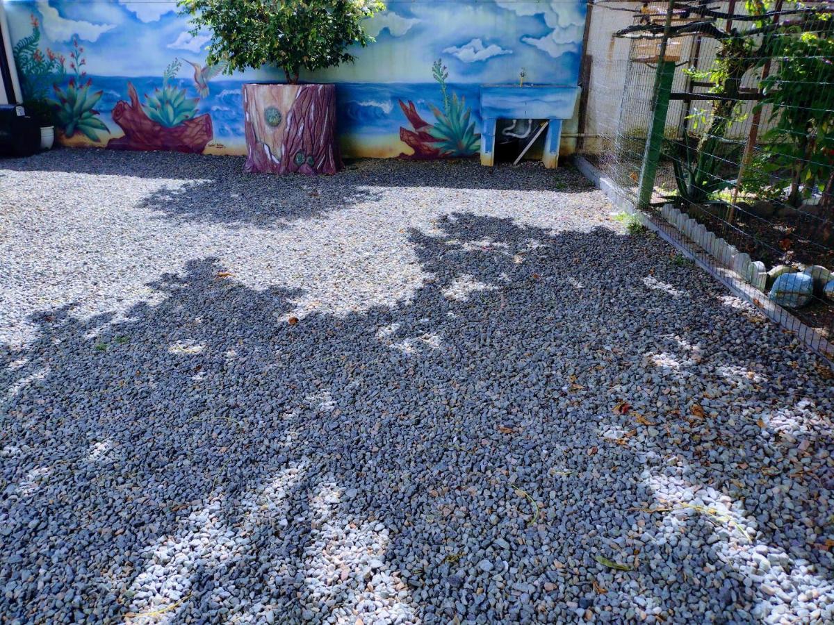 Casa Wilson Villa Penha  Eksteriør billede